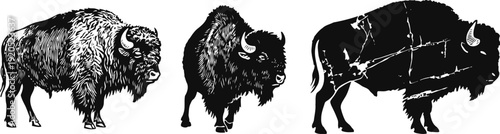 Three american bison silhouettes in vintage detailed black ink