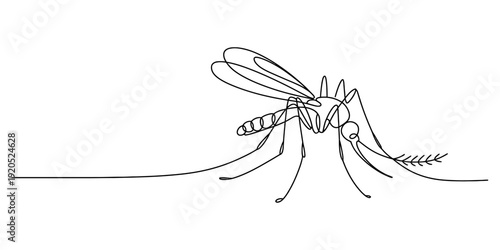 A continuous line drawing of a mosquito, capturing its form with a single, unbroken stroke Vector, illustration