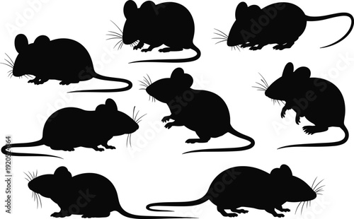 Collection of black mouse silhouettes in various poses on a white background mice 1