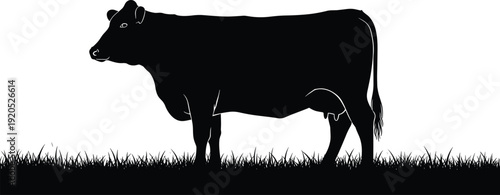 Black vector silhouette of a domestic dairy cow standing in a grassy meadow field for organic farm agriculture livestock and rural landscape branding