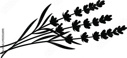 Lavender silhouette vector branch with blooming flowers, black botanical illustration isolated on white background