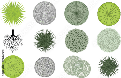 Tree Top View Collection, Green Forest Canopy Vector Set, Botanical Landscape Elements, Detailed Nature Illustration Design