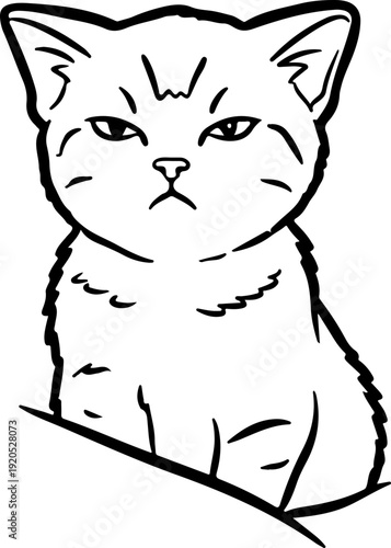 Illustration of a cat with a serious facial expression