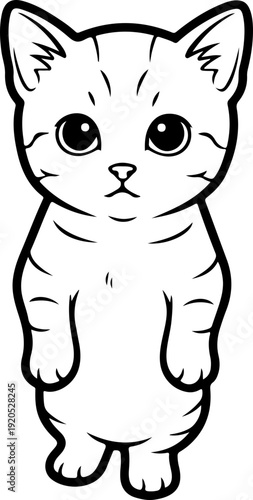 Illustration of a kitten on a standing pose