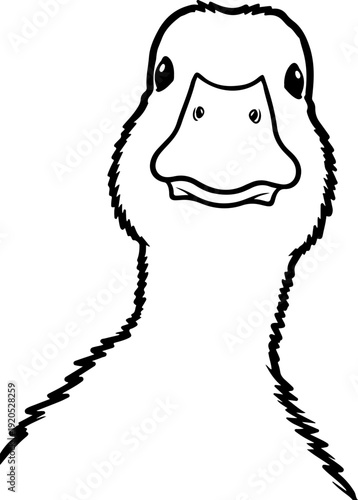 Illustration of a duck with a close up serious facial expression