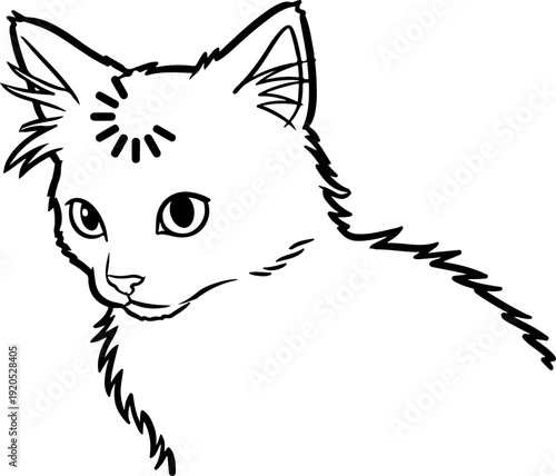 Illustration of a cat with a confused facial expression