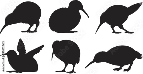 Six black kiwi bird silhouettes in various poses on a white background animal wildlife 1