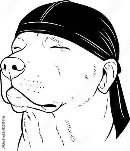 Illustration of a dog wearing a head cap while its eyes are closed