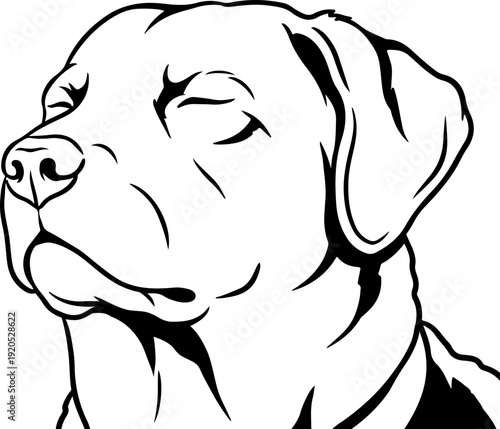 Illustration of a dog with its eyes closed