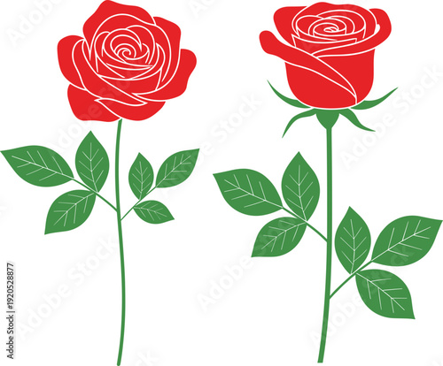 Fotografija Red Rose Vector Set Featuring Top and Side Perspectives of Long-Stemmed Blooms f
