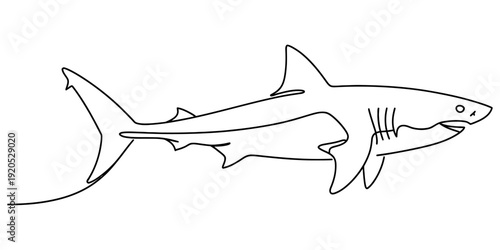 Simple black and white line drawing of a shark swimming in profile view on a plain white background. Vector, illustration
