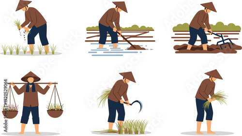 Traditional Asian Rice Farmer Vector Set Featuring Cultivation Stages including Planting, Tilling, Harvesting with Sickle, and Carrying Baskets for Agricultural and Cultural Illustrations