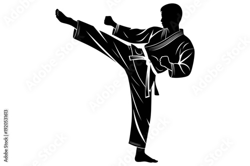 A black silhouette of a martial artist in a fighting stance