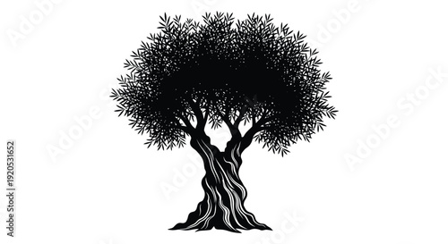 A detailed illustration depicts a mature sprawling olive tree with a full canopy and textured trunk silhouette high quality