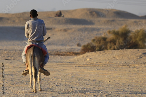 Man riding a Donkey in the West Bank (Luxor, Egypt)