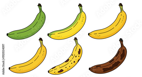 Stages of Banana Ripeness from Green to Brown.
