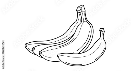 Hand drawn illustration of ripe bananas on a white background.