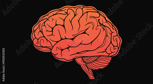 Vibrant orange and red human brain illustration on a black background, symbolizing thought, intelligence, memory, and mental health concepts in science and psychology.