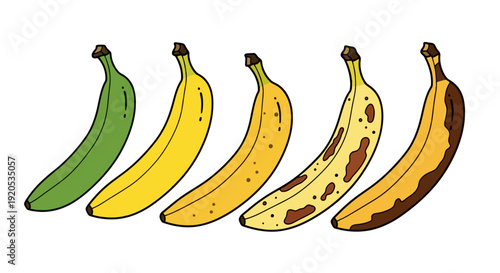 Five bananas showing stages of ripeness from green to brown.