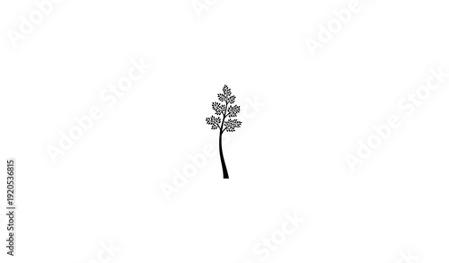 Tall Stylized Tree Black Silhouette with Many Leaves