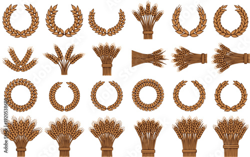 Wheat or barley ears. Harvest wheat grain, growth rice stalk and bread grains isolated vector set. Harvest wheat grain, growth rice stalk and whole bread grains. Agriculture. Transparent EPS version.