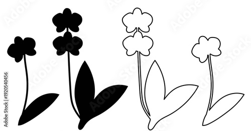 Vector color hand-drawn illustration with Orchid Flower SVG cut file for Cricut. Collection of minimalist home plants