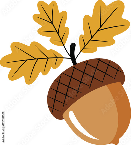 Brown acorn with two yellow autumn leaves attached on a white background