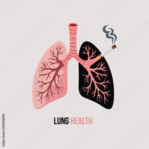 Damaged lungs illustration showing healthy vs smoker's lungs with cigarette