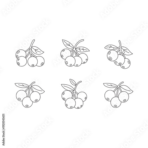 Simple line drawing of three clusters of berries with leaves