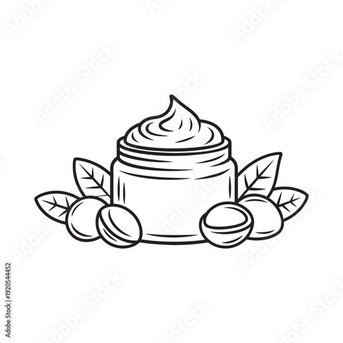Line art illustration of a cosmetic cream jar with macadamia nuts and leaves
