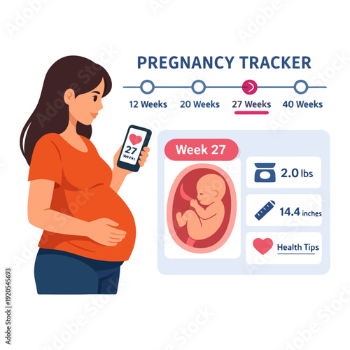 Pregnant hispanic woman tracking 27 weeks fetal development on app.