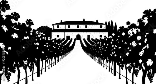 Lush grape vines silhouette framing a distant country estate
