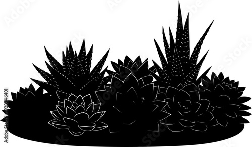Potted succulent arrangement silhouette desert plant flora