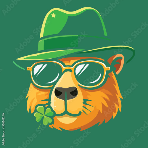 Traditional Leprechaun Mascot 
