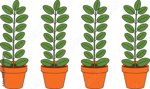 Potted green houseplant collection indoor decorative plants in flower pots flat style vector illustration set isolated