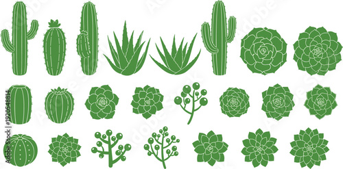 Cactus and succulent plants collection desert botanical set aloe agave houseplants flat vector illustration isolated