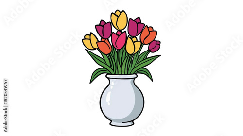 beautiful tulips in a white vase