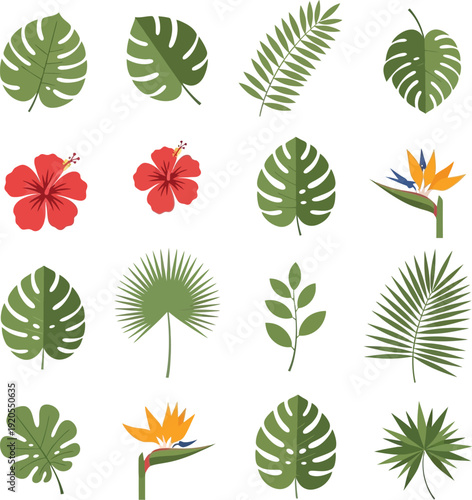 Tropical Summer Leaves and Exotic Flowers Flat Design Collection