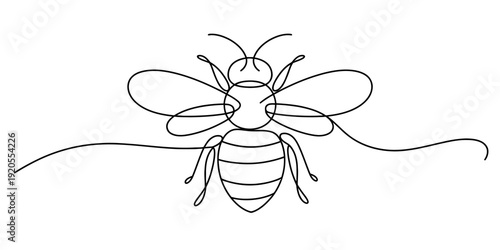 Simple black and white line art illustration of a honey bee with wings spread and long antennae isolated on white background, Vector, illustration