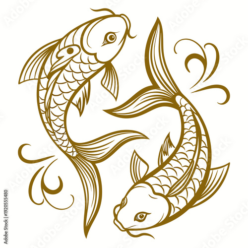Metallic gold koi fish swimming in circular motion