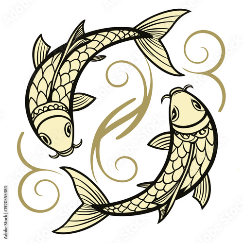 Gold koi fish swimming in circle with swirling water