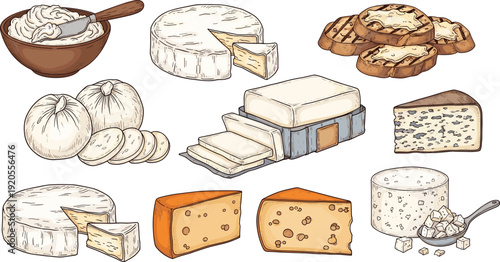 Cheese and bread assortment illustration. Blue, brie, camembert and artisan rolls with creamy spread. Hand drawn gourmet food collection isolated on white background.