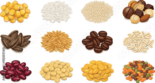 Grains and legumes collection illustration. Twelve seed varieties arranged in 3x4 grid with realistic texture and shadows. Healthy food concept isolated on white background.