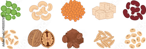 Legumes and grains flat illustration set. Peas, lentils, tofu, oats and beans arranged in two rows with labels. Minimalist food chart isolated on white background.