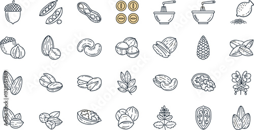 Black and white nuts line art set. Thirty detailed nut and seed illustrations arranged in 6x5 grid. Clean sketch style isolated on light background.