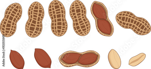 Peanut grid illustration with whole and split shells. Detailed crosshatch texture showing beige kernels inside. Clean minimalist food artwork isolated on white background.