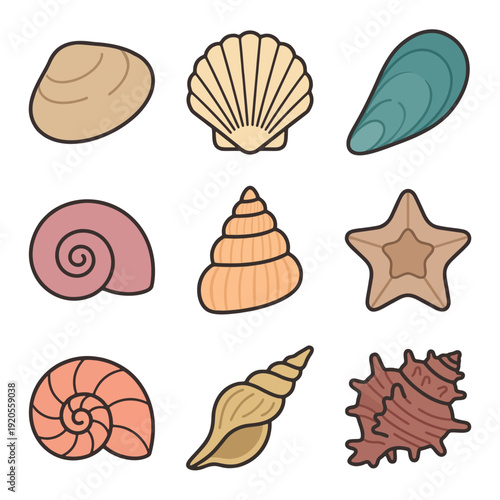 Seashell Shapes Flat Vector Illustration Set