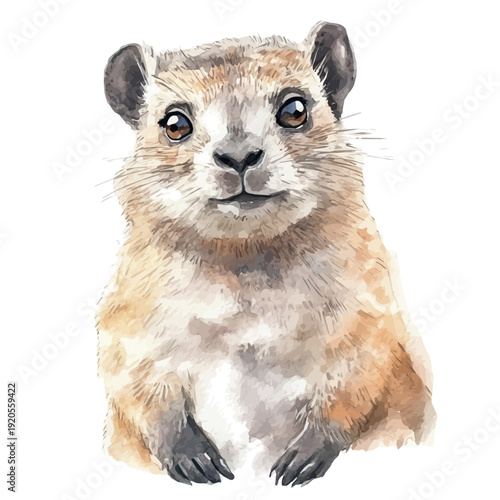 Rock Hyrax, watercolor illustration, vector, isolated on a white background.