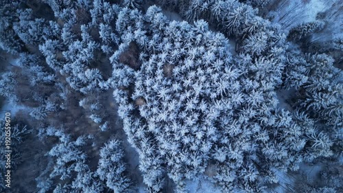 Drone flying over snowy winter forest.