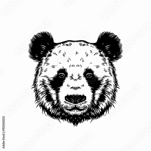 Detailed monochrome illustration of a panda face isolated on a white backdrop